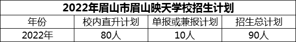 2024年眉山市眉山映天學(xué)校招生計劃是多少？