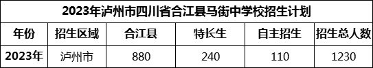 2024年瀘州市四川省合江縣馬街中學(xué)校招生計(jì)劃是多少？