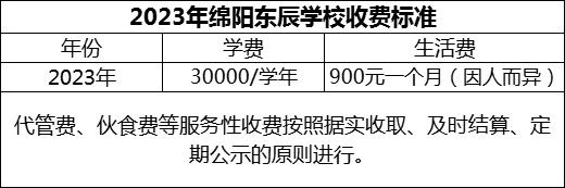 2024年綿陽市綿陽東辰學校學費多少錢？