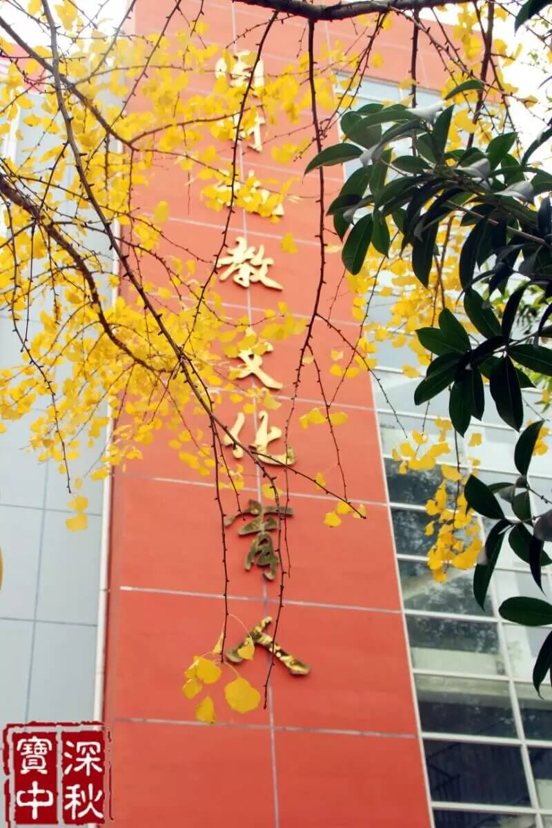 廣元市寶輪中學(xué)校園風(fēng)采