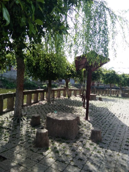 資中縣太平中學(xué)校園風(fēng)采